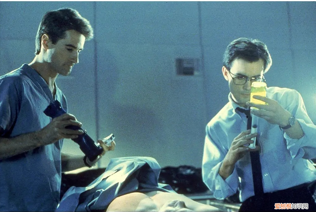 美国丧尸电影排行前十