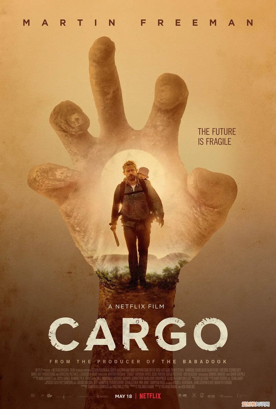 美国丧尸电影排行前十