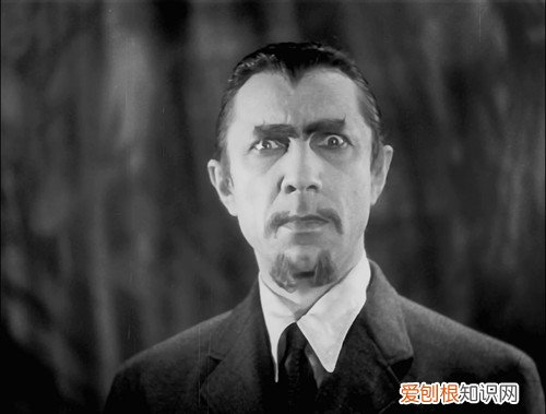 美国丧尸电影排行前十