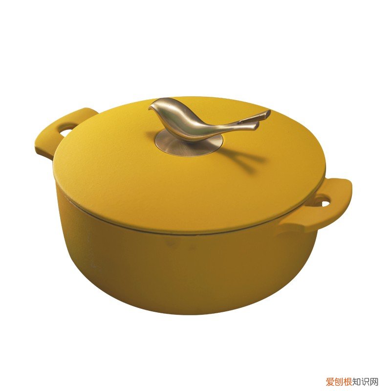 珐琅锅为什么不建议买（珐琅锅的优缺点分析解读)