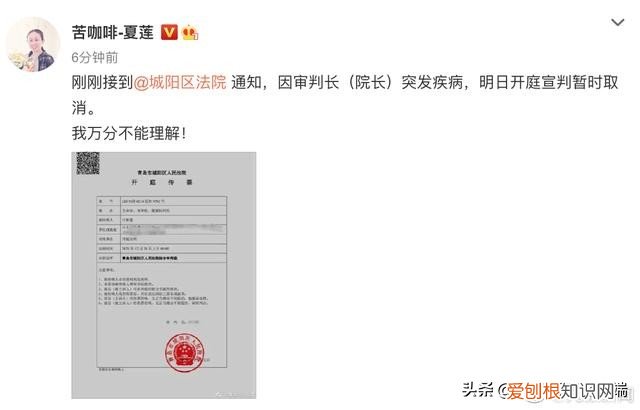 江歌母亲诉刘鑫案31日宣判取消，因审判长突发疾病