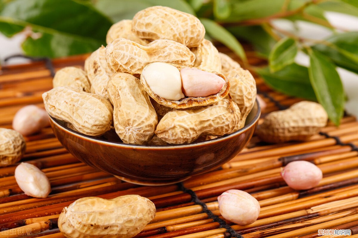 健脑补脑食品有哪些