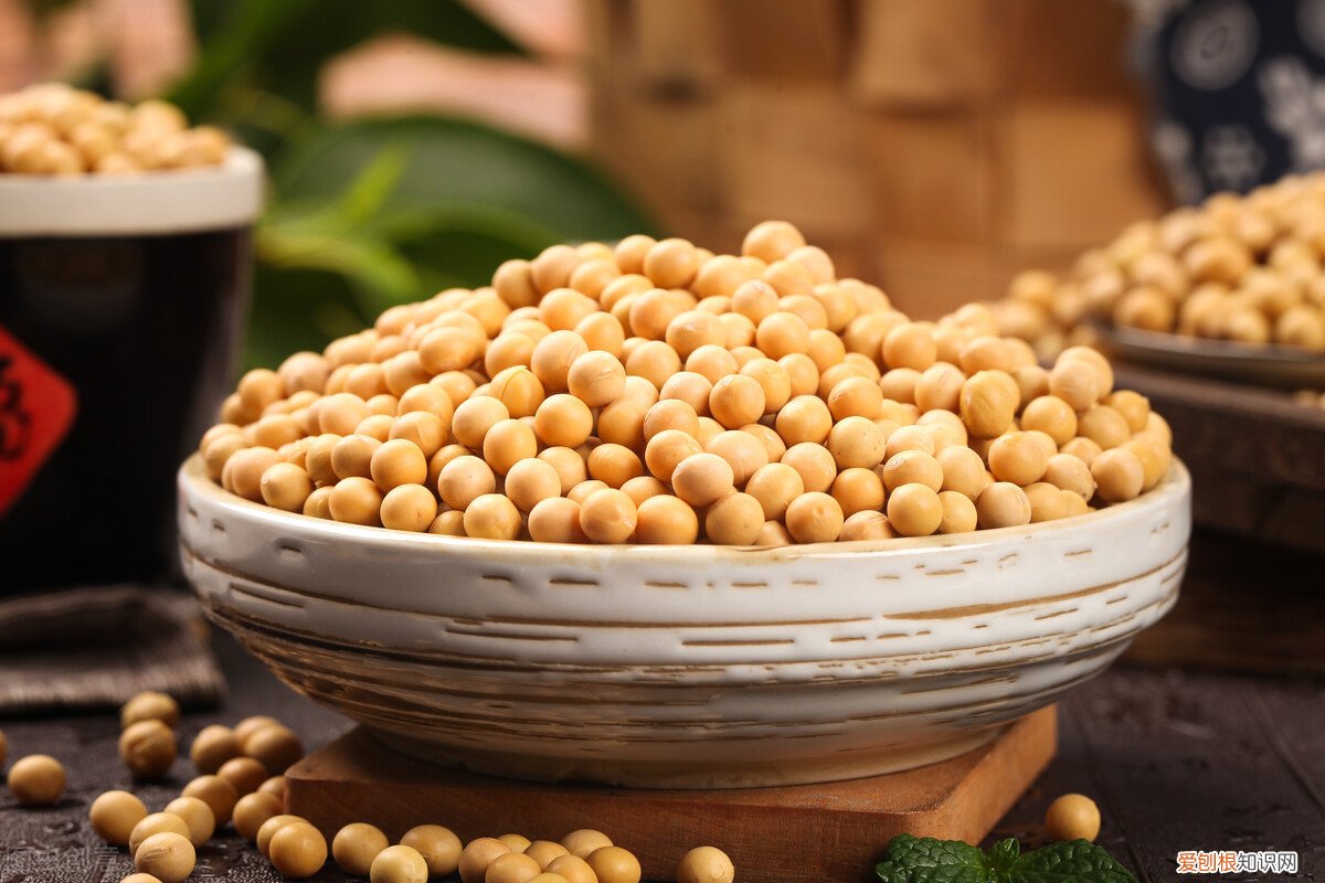 健脑补脑食品有哪些