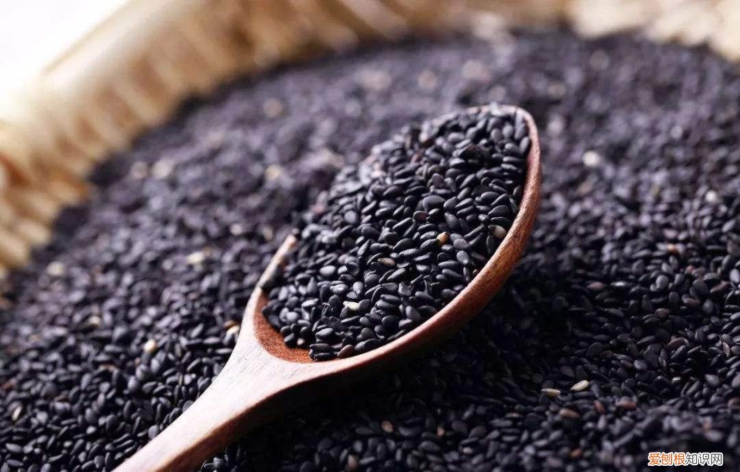 健脑补脑食品有哪些