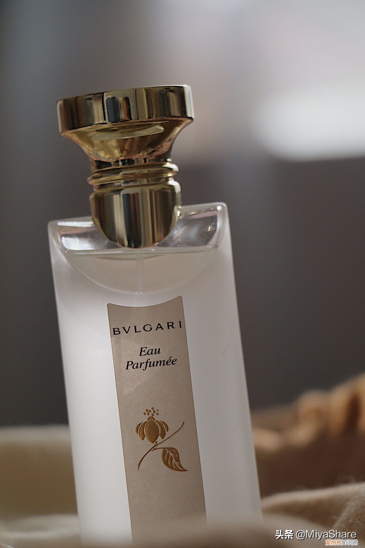 5款小众好闻香水推荐