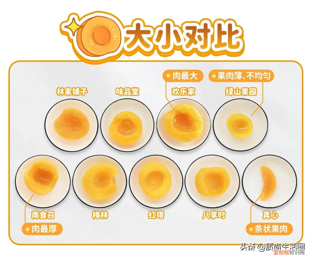 9款黄桃罐头对比测评