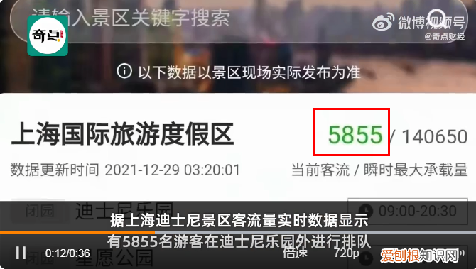 凌晨3点超5000人迪士尼排队买:达菲和朋友们圣诞系列玩偶
