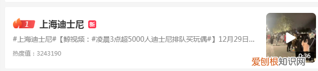 凌晨3点超5000人迪士尼排队买:达菲和朋友们圣诞系列玩偶