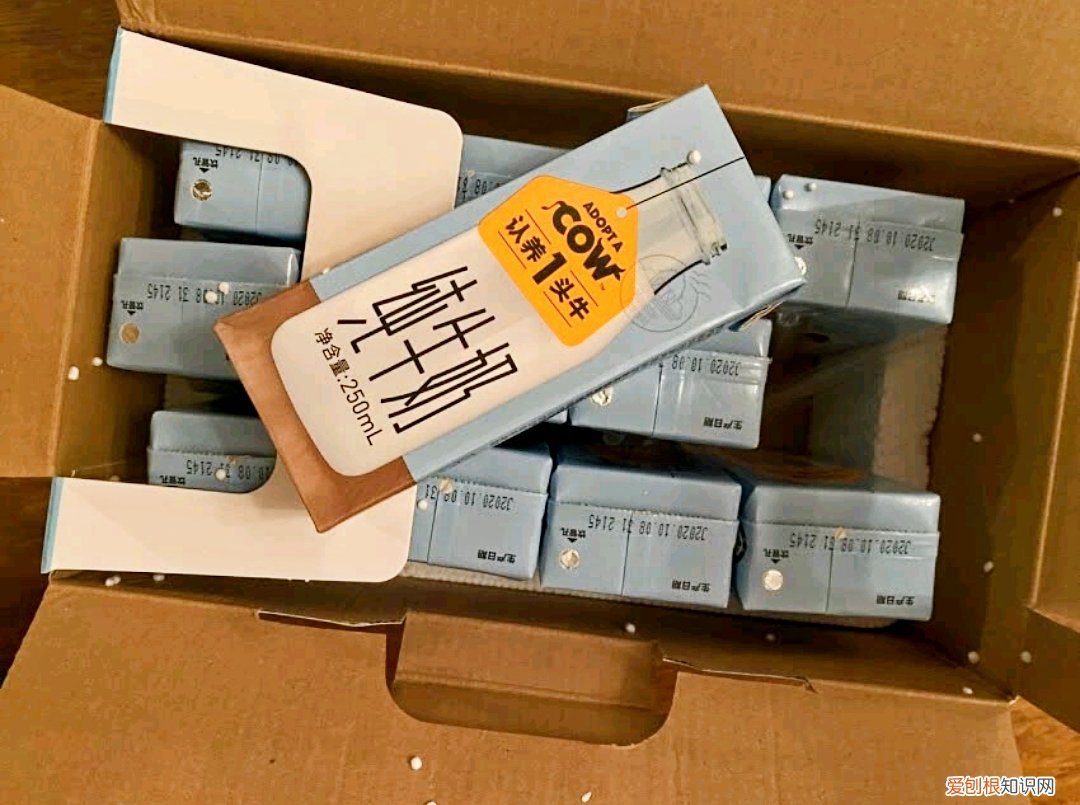 纯牛奶哪个牌子好（这6款牛奶性价比高，品质高营养更好)