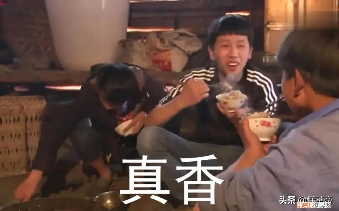 凤凰单丛茶是什么茶系