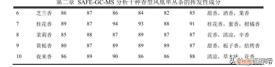 凤凰单丛茶是什么茶系
