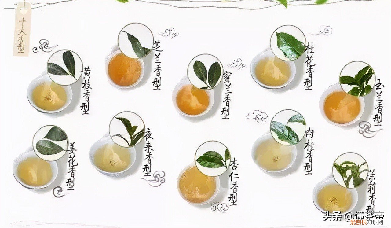 凤凰单丛茶是什么茶系