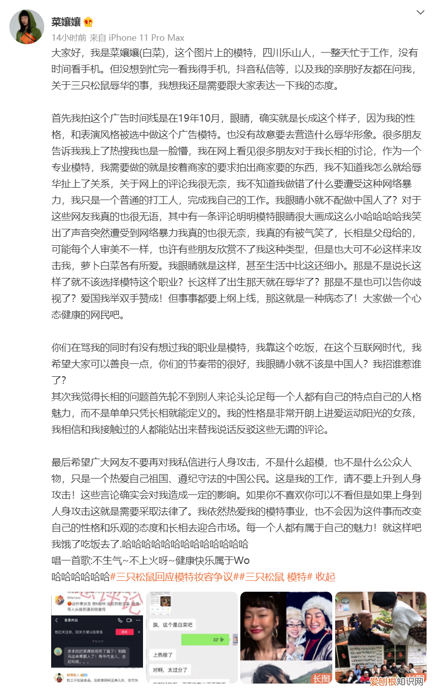 胡锡进评三只松鼠广告模特妆容争议