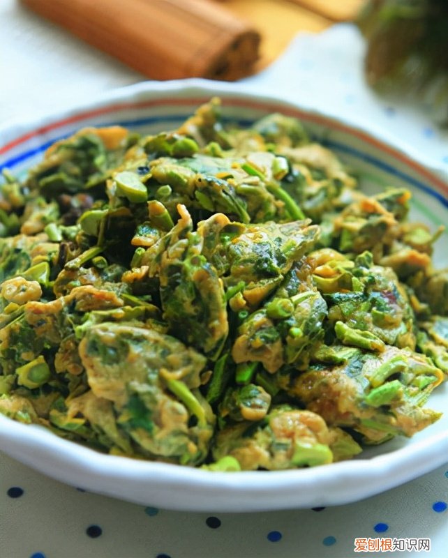 常见野菜图片大全及名字