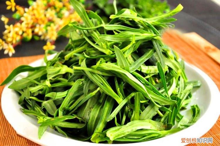 常见野菜图片大全及名字