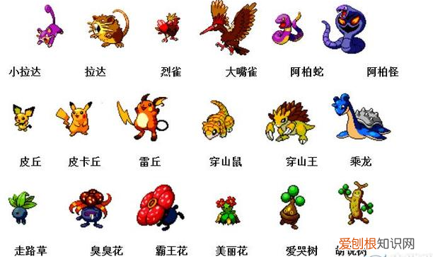 神奇宝贝图鉴大全进化