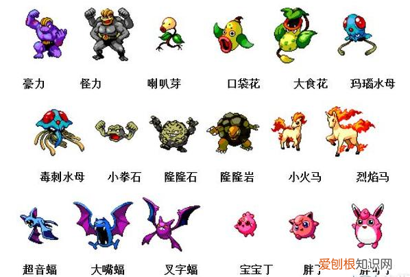 神奇宝贝图鉴大全进化