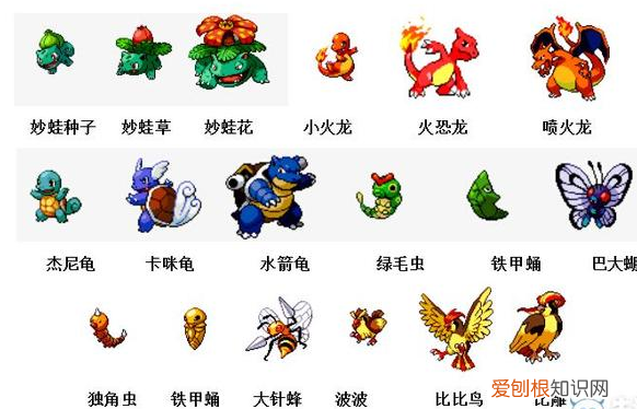 神奇宝贝图鉴大全进化