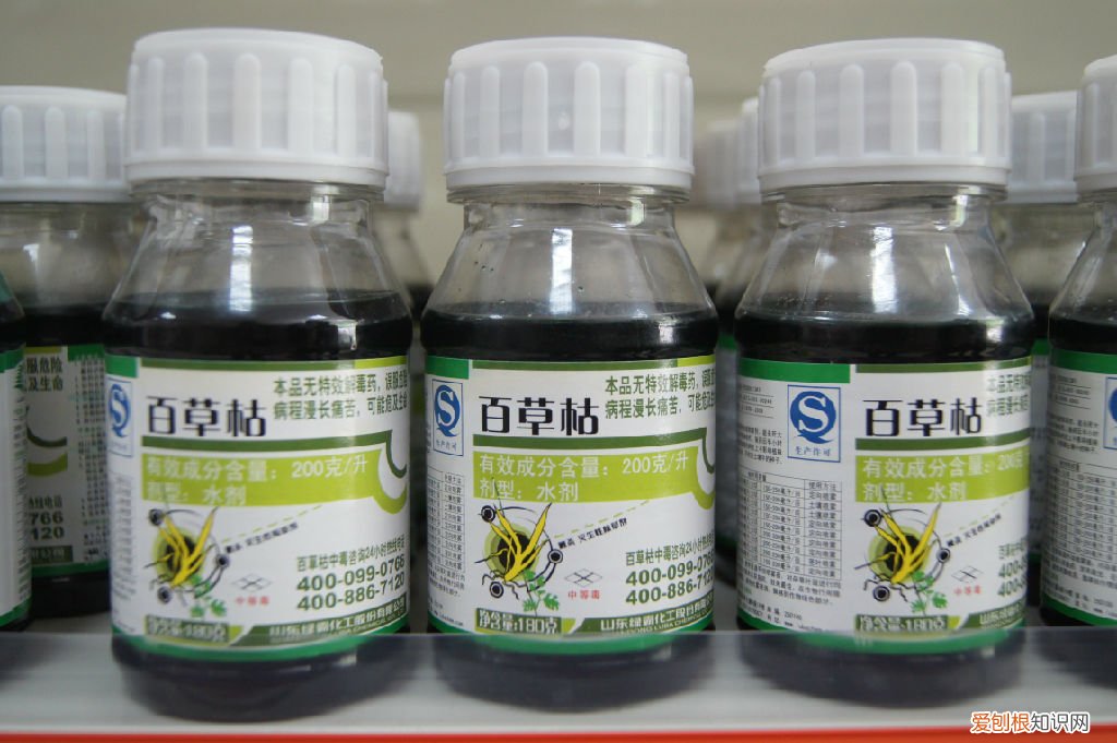 河北邢台18岁女孩被姐夫投毒百草枯，简直丧心病狂