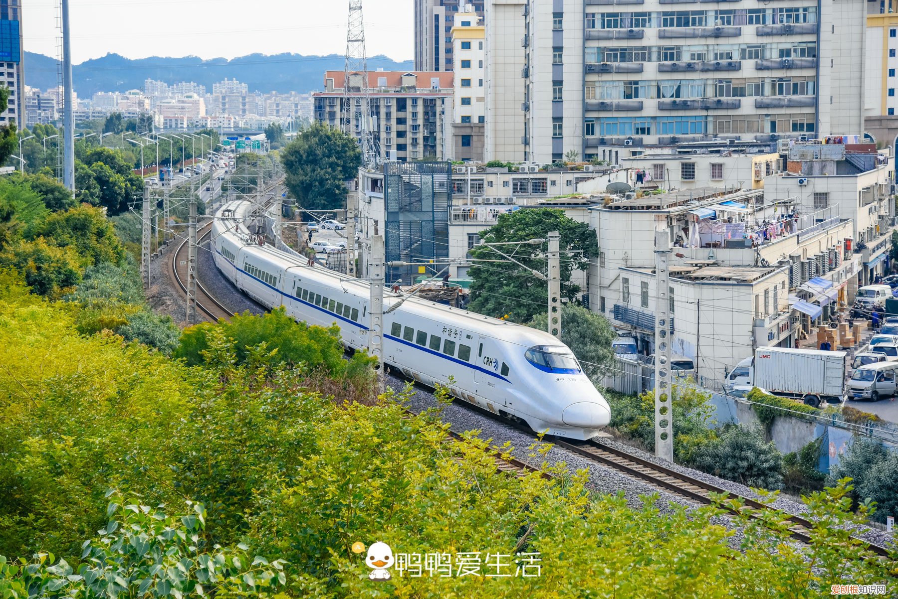 厦门岛内自由行旅游攻略