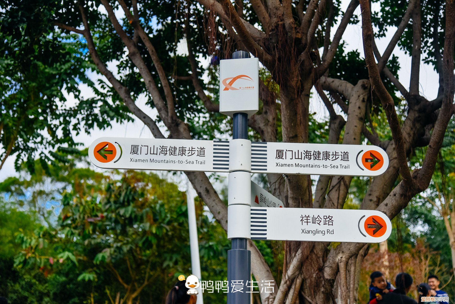 厦门岛内自由行旅游攻略