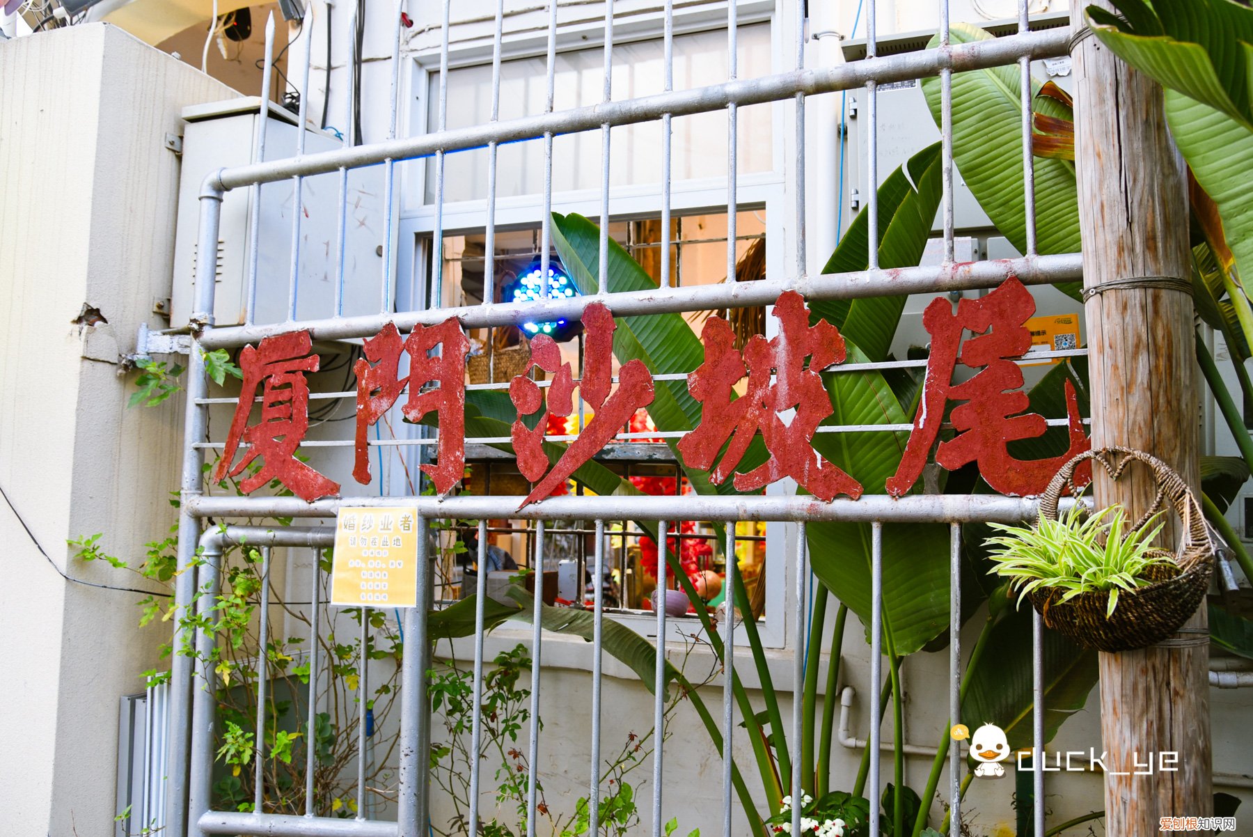 厦门岛内自由行旅游攻略