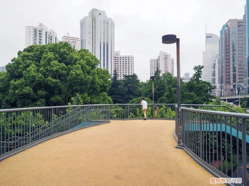 奥林巴斯数码相机怎么样