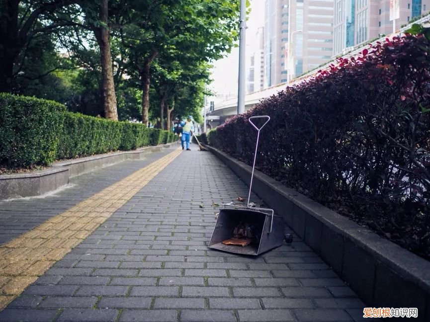 奥林巴斯数码相机怎么样