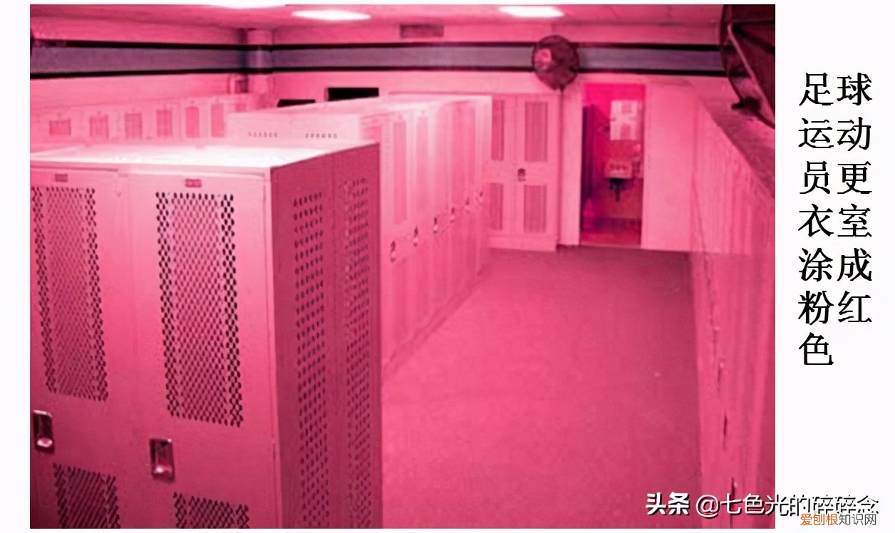 色彩的蕴意——粉色代表什么