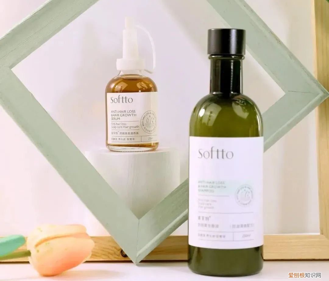 索芙特洗发水好用么