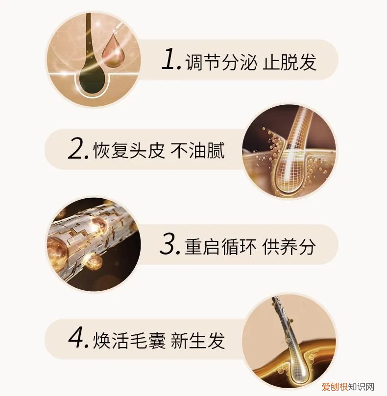 索芙特洗发水好用么