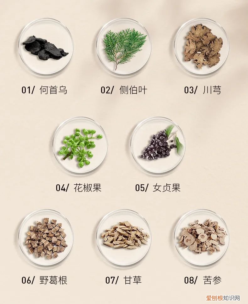 索芙特洗发水好用么