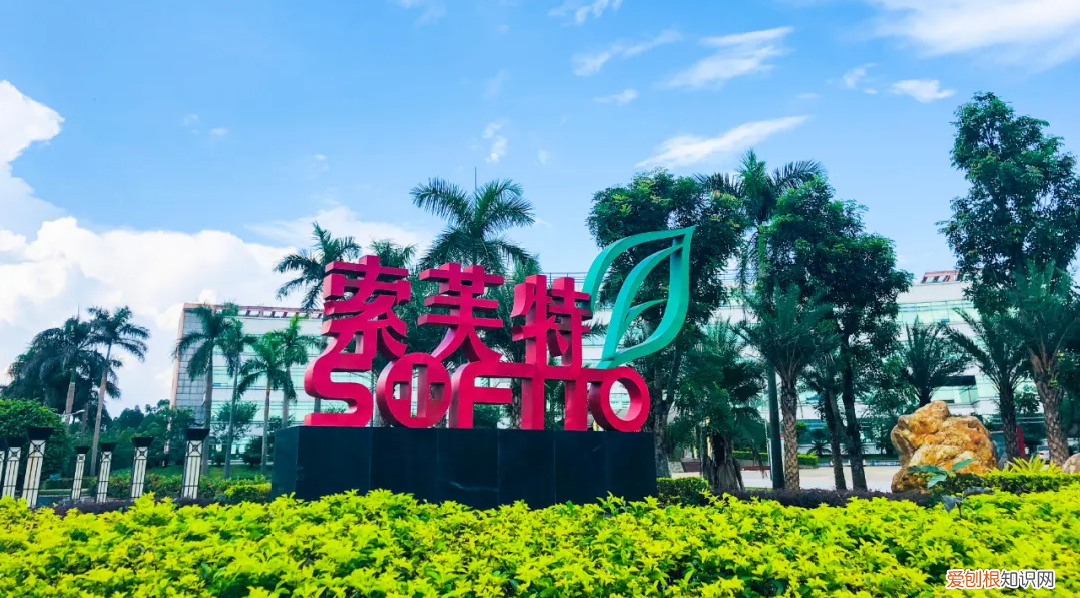 索芙特洗发水好用么