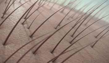 索芙特洗发水好用么