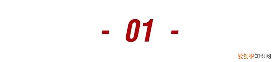 索芙特洗发水好用么