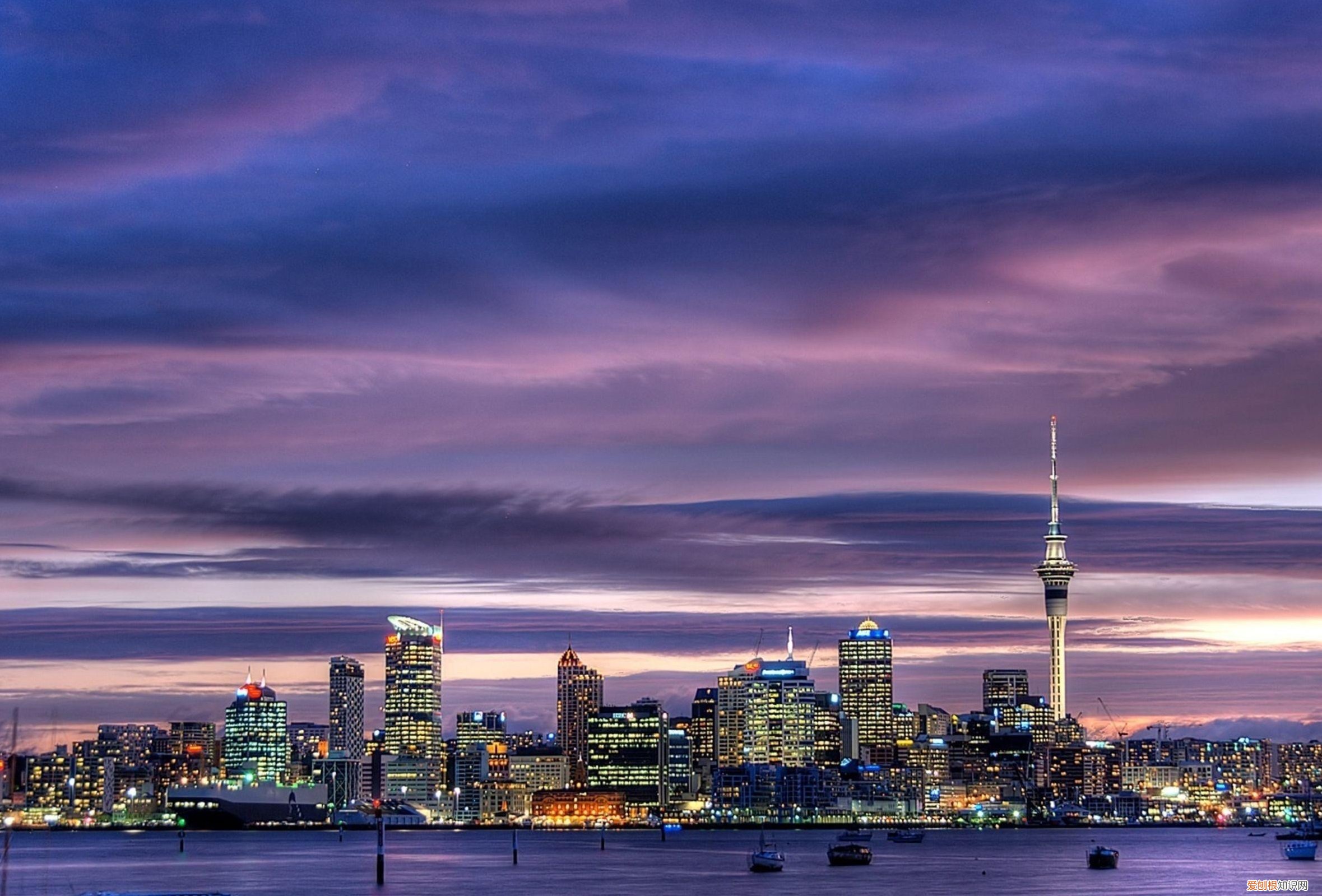 奥克兰是哪个国家的城市