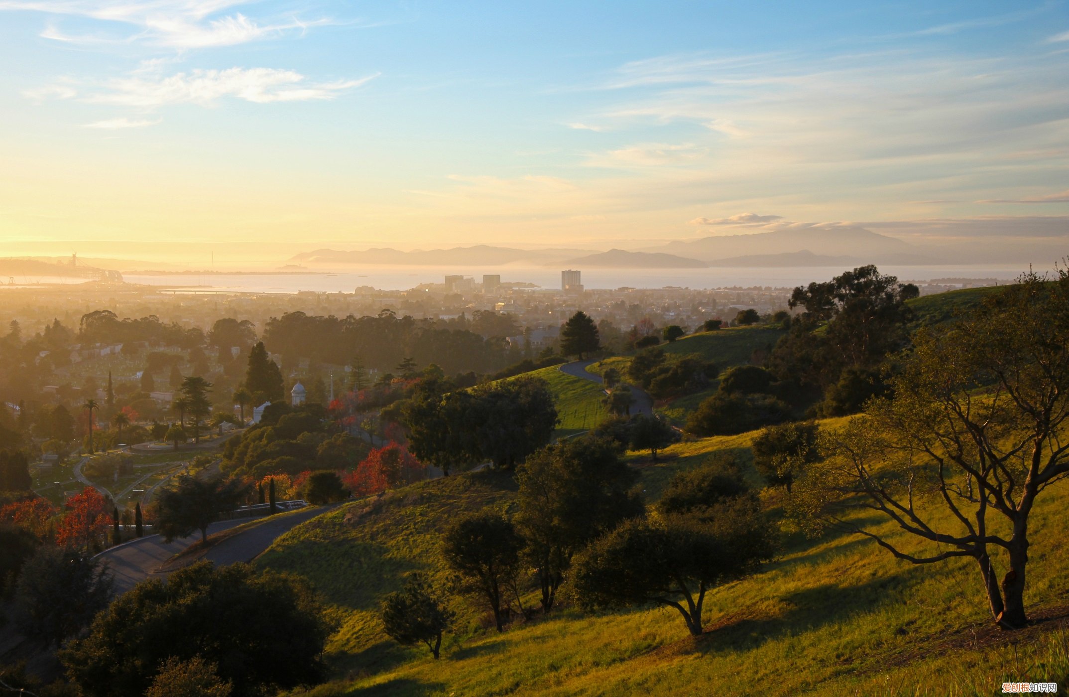 奥克兰是哪个国家的城市