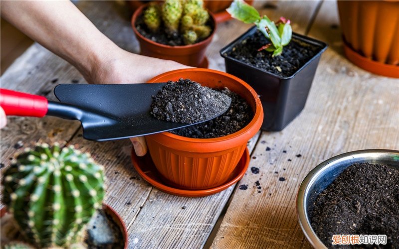 小型代加工工厂创业项目