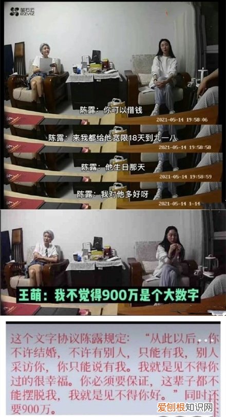 陈露或将面临10年以上刑期