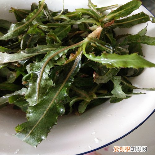 野菜图片大全及名字和功效