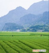 亩和平方米的换算