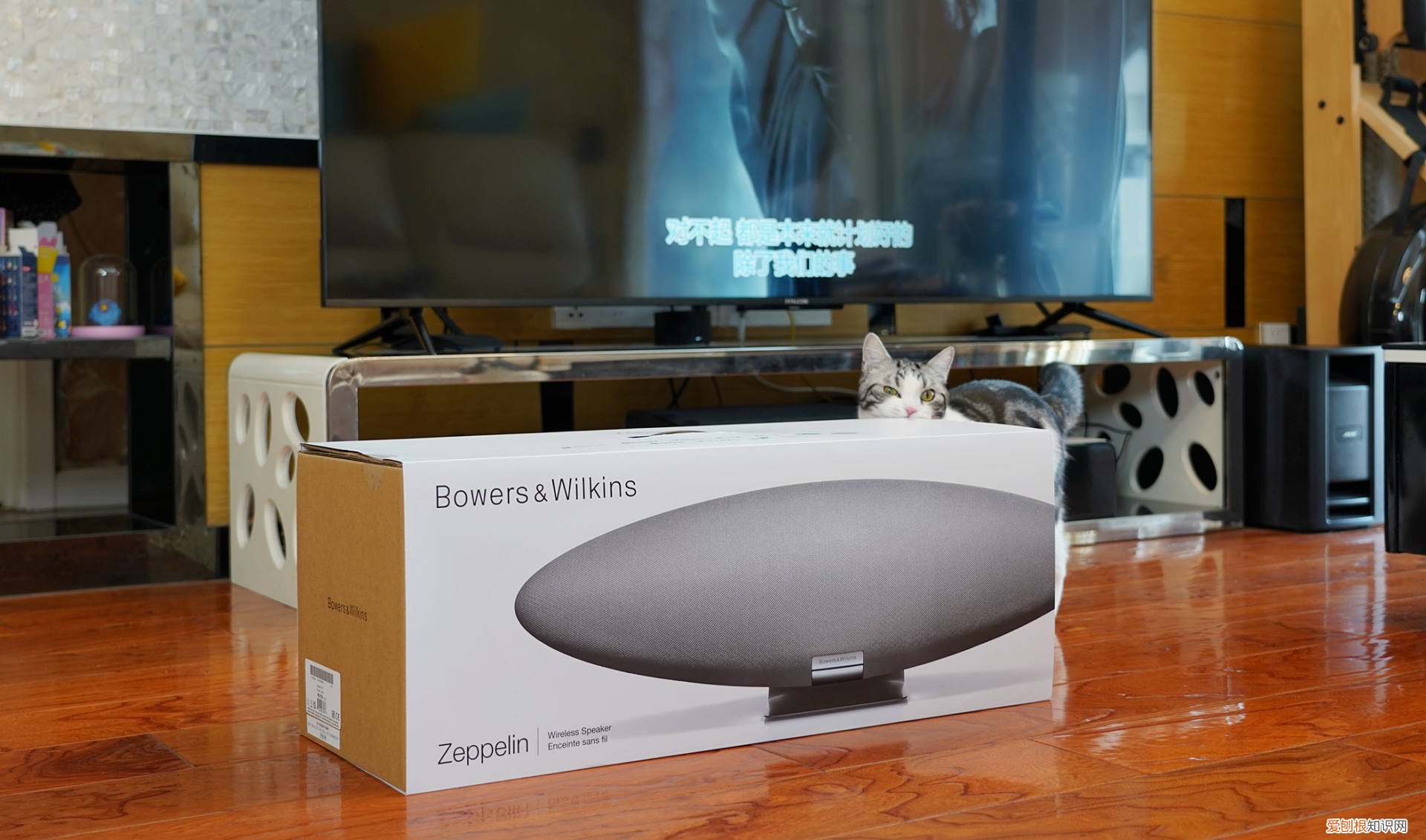 宝华韦健齐柏林飞艇音响5代评测