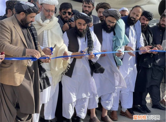 阿富汗松子运抵上海 赵立坚带货