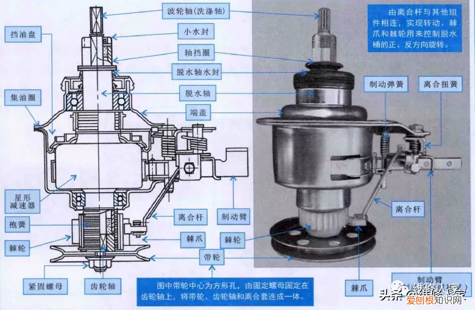 波轮式洗衣机洗涤系统结构图