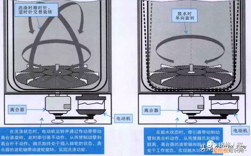 波轮式洗衣机洗涤系统结构图