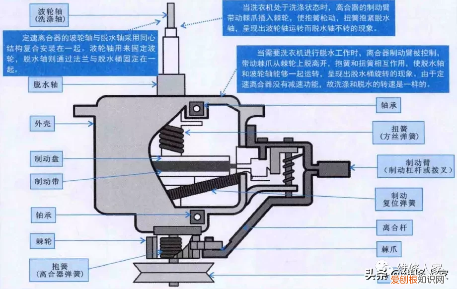 波轮式洗衣机洗涤系统结构图