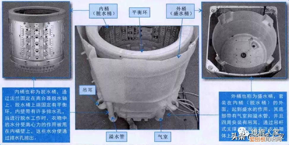 波轮式洗衣机洗涤系统结构图
