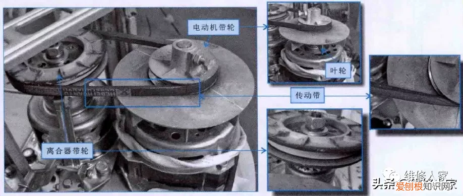 波轮式洗衣机洗涤系统结构图