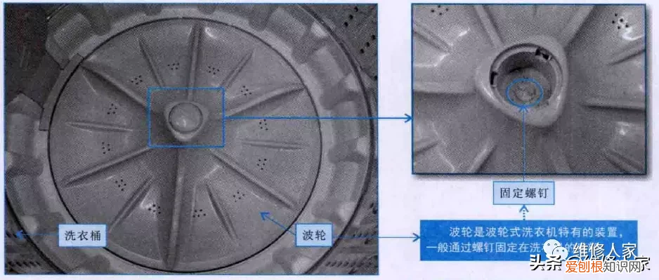 波轮式洗衣机洗涤系统结构图