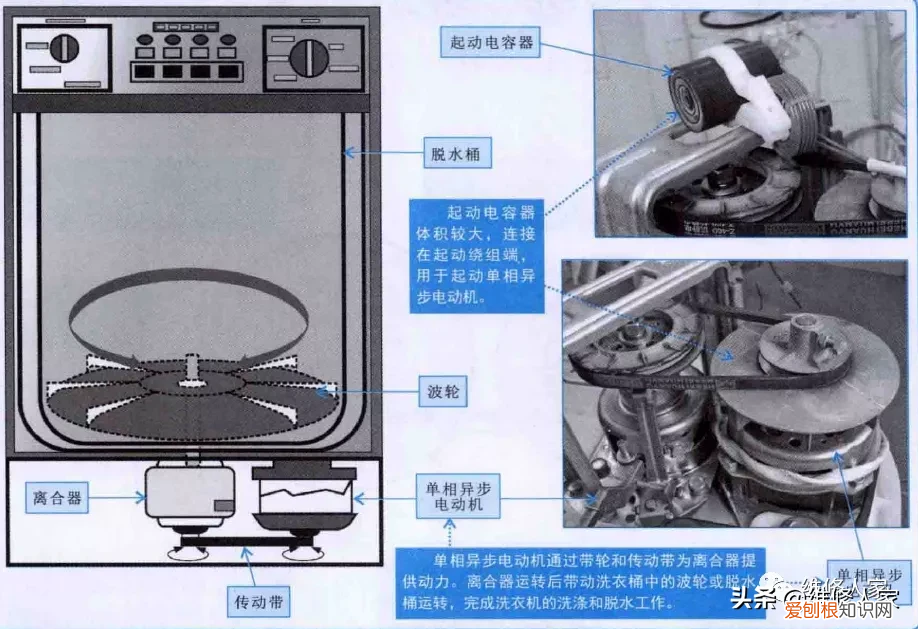 波轮式洗衣机洗涤系统结构图
